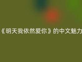 《明天我依然爱你》的中文魅力