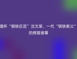 缅怀“钢铁巨匠”沈文荣，一代“钢铁教父”的辉煌谢幕