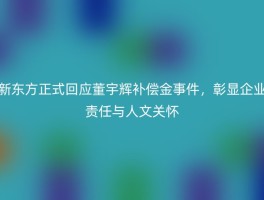 新东方正式回应董宇辉补偿金事件，彰显企业责任与人文关怀