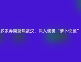 多家券商聚焦武汉，深入调研“萝卜快跑”