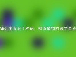 蒲公英专治十种病，神奇植物的医学奇迹