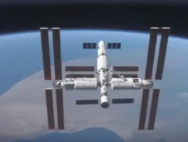 “第一学历”困局：985硕士求职路上的无奈之绊