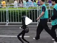 Q版机器人也来跑马拉松：科技与运动的奇妙碰撞