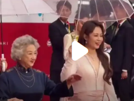 北影节开幕式：星光璀璨，共赴电影盛宴