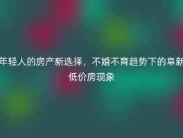 年轻人的房产新选择，不婚不育趋势下的阜新低价房现象