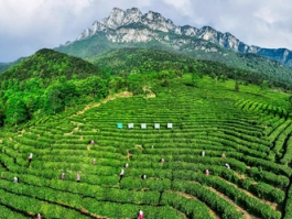江西庐山春日惊现瀑布云海，绝美奇观引游客蜂拥而至