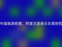中国能源前景，阿里王坚表示无需担忧