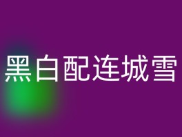 黑白配连城雪