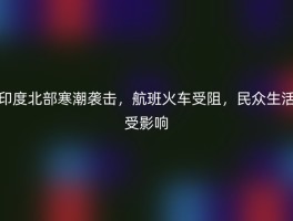 印度北部寒潮袭击，航班火车受阻，民众生活受影响