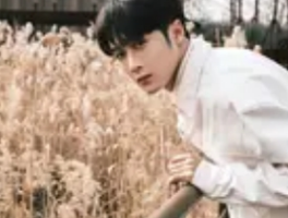 檀健次2025年最新动态：影视、综艺与事业版图拓展