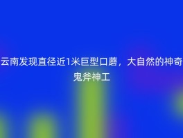 云南发现直径近1米巨型口蘑，大自然的神奇鬼斧神工