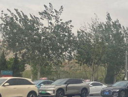 宁夏遭遇大风沙尘天气 部分景区临时关闭