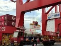 92柜约1564吨泰国榴莲抵达广州港南沙港区