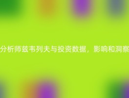 分析师兹韦列夫与投资数据，影响和洞察