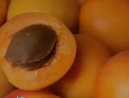 杏子吃了有什么好处和坏处？营养专家为您揭秘