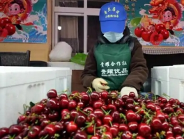 车厘子一天吃多少合适？健康饮食的建议与注意事项