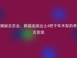 揭秘古农业，韩国连续出土4把千年木犁的考古发现