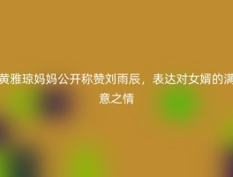 黄雅琼妈妈公开称赞刘雨辰，表达对女婿的满意之情