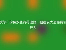 愤怒！珍稀双色荷花遭摘，福建农大遗憾情侣行为