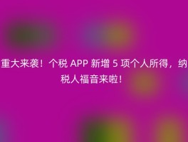 重大来袭！个税 APP 新增 5 项个人所得，纳税人福音来啦！