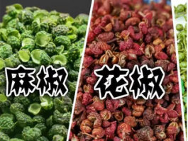 麻椒能否替代花椒：调味与药用解析