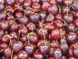 樱桃和蓝莓可以一起吃吗？营养师实验报告