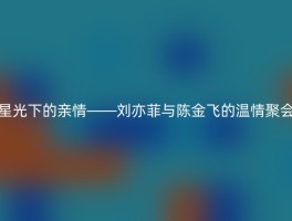 星光下的亲情——刘亦菲与陈金飞的温情聚会