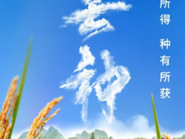 芒种节气小知识来了 夏种作物都有什么？
