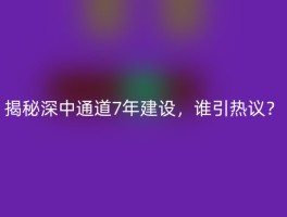 揭秘深中通道7年建设，谁引热议？
