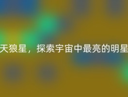 天狼星，探索宇宙中最亮的明星