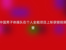 中国男子体操队在个人全能项目上斩获银铜荣誉