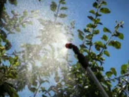 精喹禾灵使用指南：高效除草剂的应用技巧与适用作物