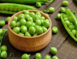 青豆是什么豆？从餐桌到农田的绿色密码