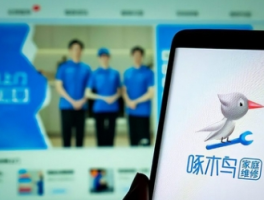 啄木鸟连续两年315道歉！品牌信任危机如何化解？