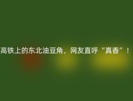 高铁上的东北油豆角，网友直呼“真香”！