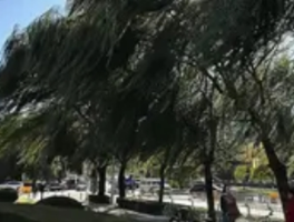 湖北省发布大风蓝色预警