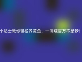 小贴士教你轻松养黄鱼，一网赚百万不是梦！