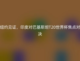 纽约见证，印度对巴基斯坦T20世界杯焦点对决