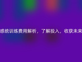 感统训练费用解析，了解投入，收获未来