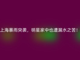 上海暴雨突袭，明星家中也遭漏水之苦！