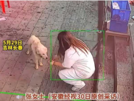 流浪狗为报恩帮烧烤店老板看店