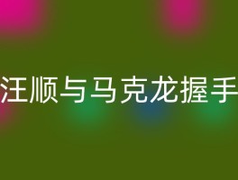 汪顺与马克龙握手