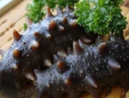 海鲜寒热属性解析：来自海洋的中医密码