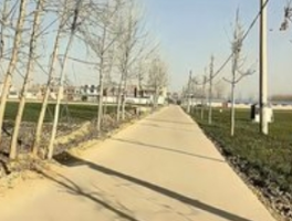 00后集体回农村“嘬老”：一场逆向迁徙背后的代际重构