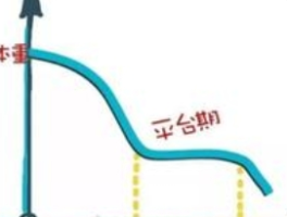 减肥平台期怎么突破？科学拆解“代谢围城”的四大解法