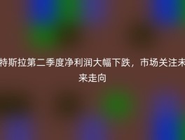 特斯拉第二季度净利润大幅下跌，市场关注未来走向
