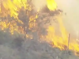 日本突发山林大火：火势蔓延迅速，数千人紧急撤离