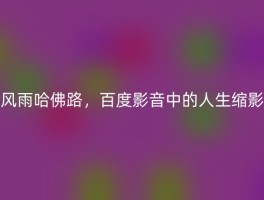 风雨哈佛路，百度影音中的人生缩影