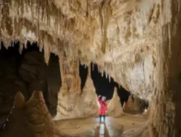 亿万年洞穴中竟然有海：地质奇观下的生命秘语
