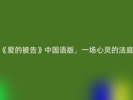 《爱的被告》中国语版，一场心灵的法庭